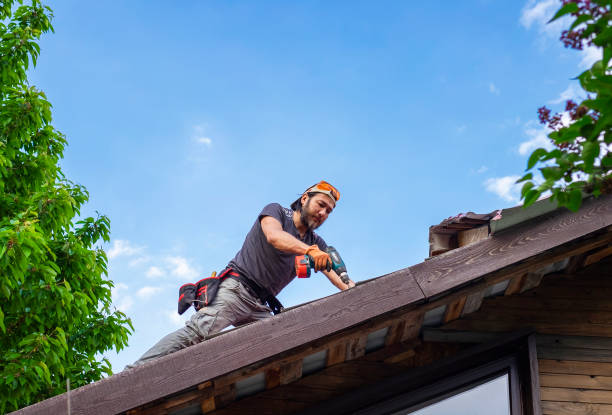 Best Asphalt Shingle Roofing  in Carey, ID